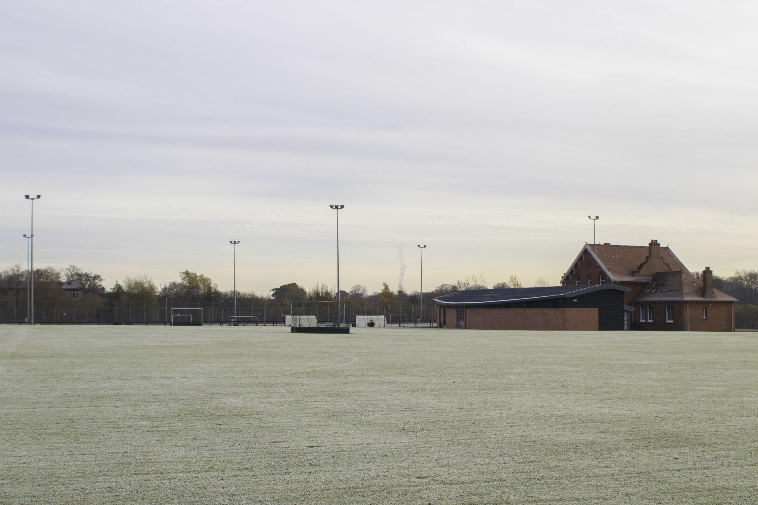 Goldenacre fields